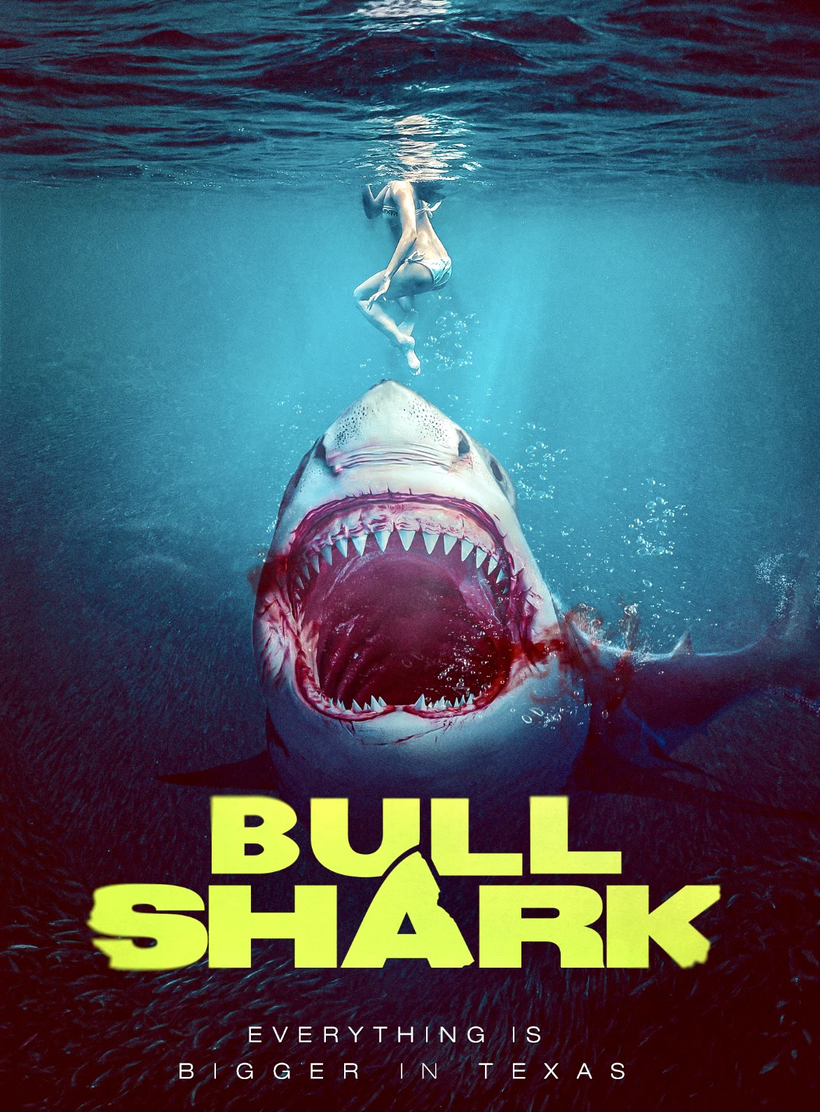 постер Бычья акула